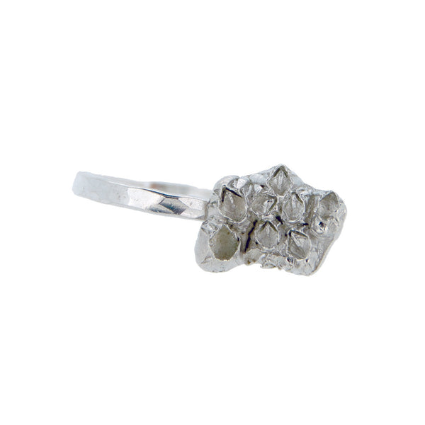 Barnacle Ring